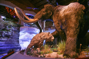 Image of the installation